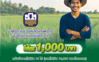 ธ.ก.ส. เดินหน้าช่วยเหลือเกษตรกรผู้ปลูกข้าวนาปรัง-นาปี ไร่ละ 1,000 บาท